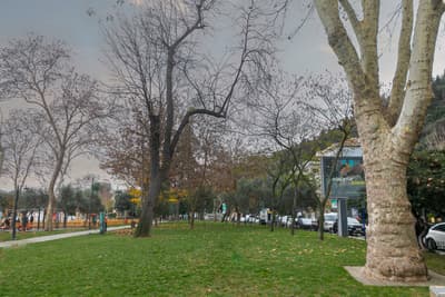 Bebek Parkı