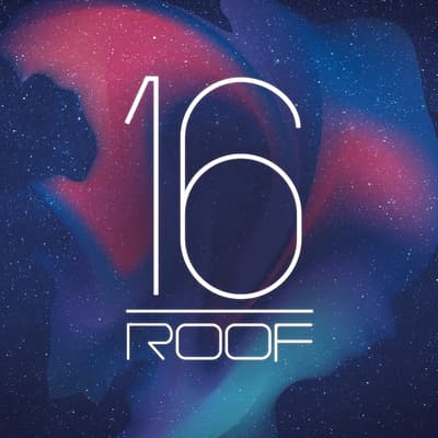 Swissotel 16 Roof